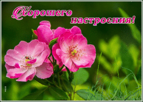 Яркого настроения тебе