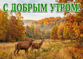 За окном осень, а впереди новый день и новые моменты.