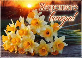 Забавная и игривая весенняя гиф-открытка Хорошего вечера