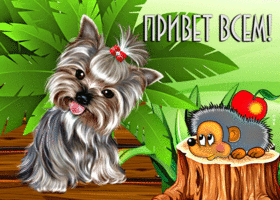 Забавная открытка с ежиком Привет всем!