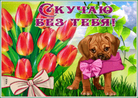 Забавная открытка Скучаю без тебя!