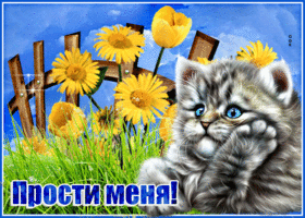 Замечательная открытка с кошечкой Прости меня!