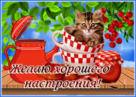 Замечательная открытка с котом  Желаю хорошего настроения!