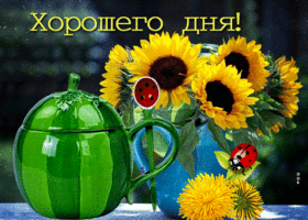 Замечательная открытка с подсолнухами Хорошего дня!
