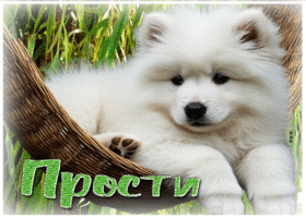 Завораживающая летняя гиф-открытка Прости