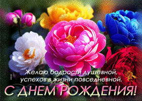 Желаю бодрости душевной, успехов в жизни повседневной