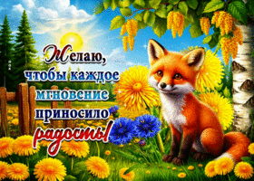 Желаю, чтобы каждое мгновение приносило радость