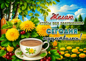 Желаю, чтобы все задуманное сегодня осуществилось