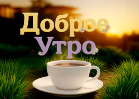 Желаю доброго утра и заряда бодрости