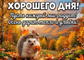 Желаю лёгкого и удачного дня этой осенью.
