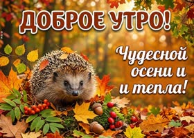 Желаю лёгкого утра и красивого осеннего настроения.