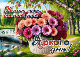 Желаю море впечатлений! Яркого дня