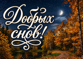 Желаю мягкой подушки, тёплого одеяла и добрых снов.