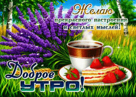 Желаю прекрасного настроения и светлых мыслей