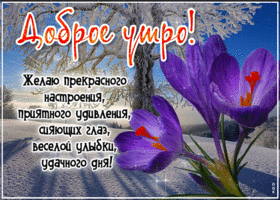 Желаю прекрасного настроения, приятного удивления, сияющих глаз