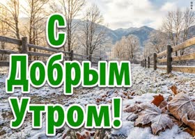 Желаю прекрасного зимнего утра и замечательного настроения на весь день.