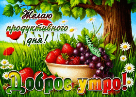 Желаю продуктивного дня! Доброе утро!