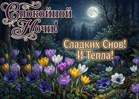 Желаю самых теплых снов