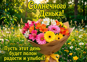 Желаю солнечного денька!