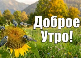 Желаю солнечного утра, вдохновения