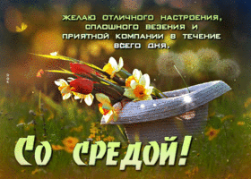 Желаю сплошного везения и приятной компании! Со средой!