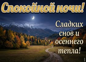 Желаю спокойной ночи и добрых снов.