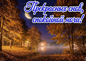 Желаю спокойной ночи и лёгкого пробуждения.