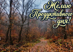 Желаю тебе дня, в котором всё важное получается без лишней суеты и с хорошим результатом