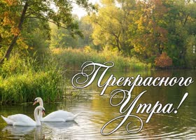 Желаю солнечного и прекрасного настроения на весь день