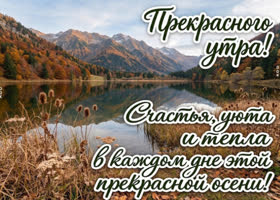 Желаю тебе утра, которое настроит на хорошее и даст уверенность в каждом следующем шаге