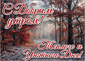 Желаю тебе утра, с которого всё начинается легко и складывается именно так, как нужно.