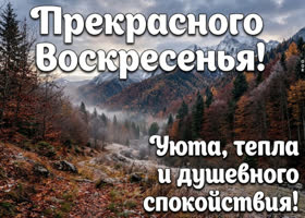 Желаю тебе воскресенья с ясными мыслями и ощущением, что всё идёт своим чередом.