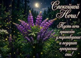 Желаю умиротворения и прекрасные сны