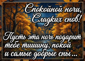 Желаю уютной ночи и приятных сновидений.
