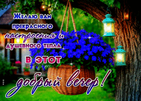 Желаю вам прекрасного настроения и душевного тепла в этот добрый вечер