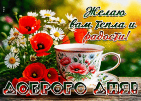 Желаю вам тепла и радости! Доброго дня