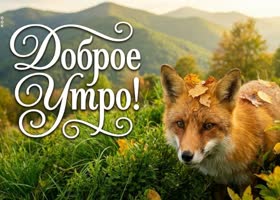 Желаю яркого утра, тёплого настроения и море энергии
