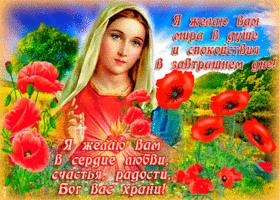 Желаю Вам мира в душе и спокойствия в завтрашнем дне