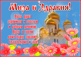 Желаю вам всех благ