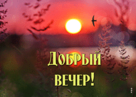 Живая открытка добрый вечер. Счастья каждый миг