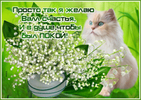 Живи сейчас а не однажды