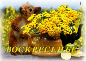 Живая анимационная летняя открытка Воскресенье