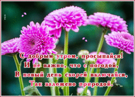 Живая открытка С добрым утром, просыпайся!