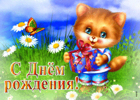 Живая открытка с кошечкой с подарком С днем Рождения