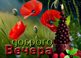 Живая открытка с маками Доброго вечера