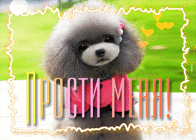 Живая открытка с маленькой собачкой Прости меня