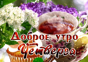 Живая открытка с сиренью Доброе утро четверга