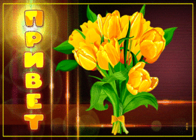 Живая открытка с желтыми тюльпанами Привет