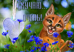 Живая открытка Скучаю очень! С сердечком