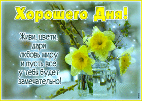 Живи, цвети, дари любовь миру и пусть у тебя все будет замечательно
